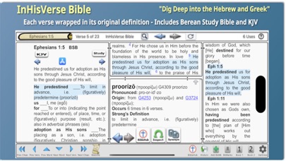InHisVerse Bible Screenshot