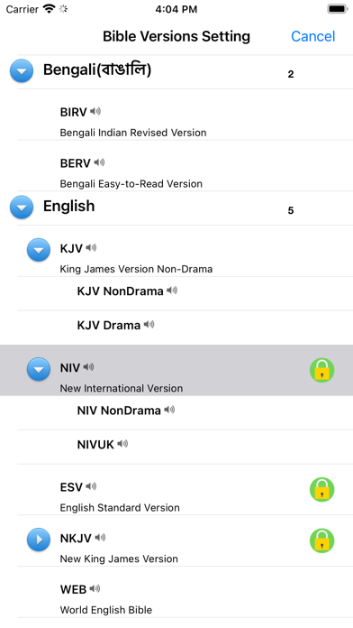 Screenshot #3 pour Bengali English Audio Bible