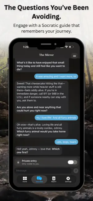The Mirror Mobile screenshot 2