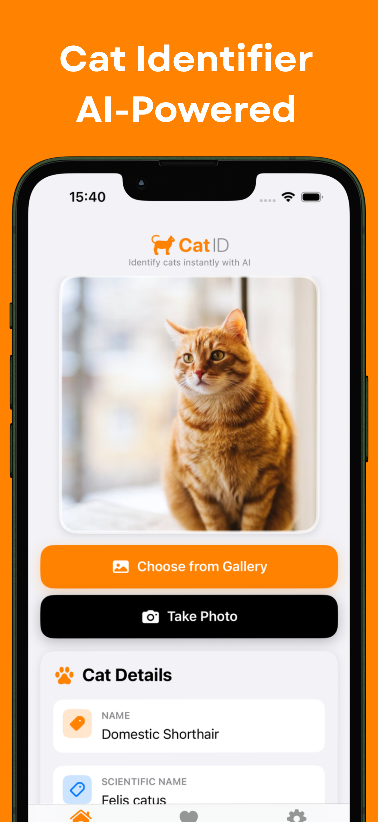 Cat Breed Identifier - AI Scan
