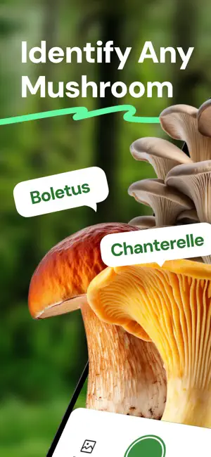 Mushroom ID - Fungi Identifier screenshot 1