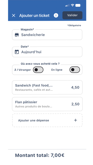Enquête Budget de Famille Screenshot