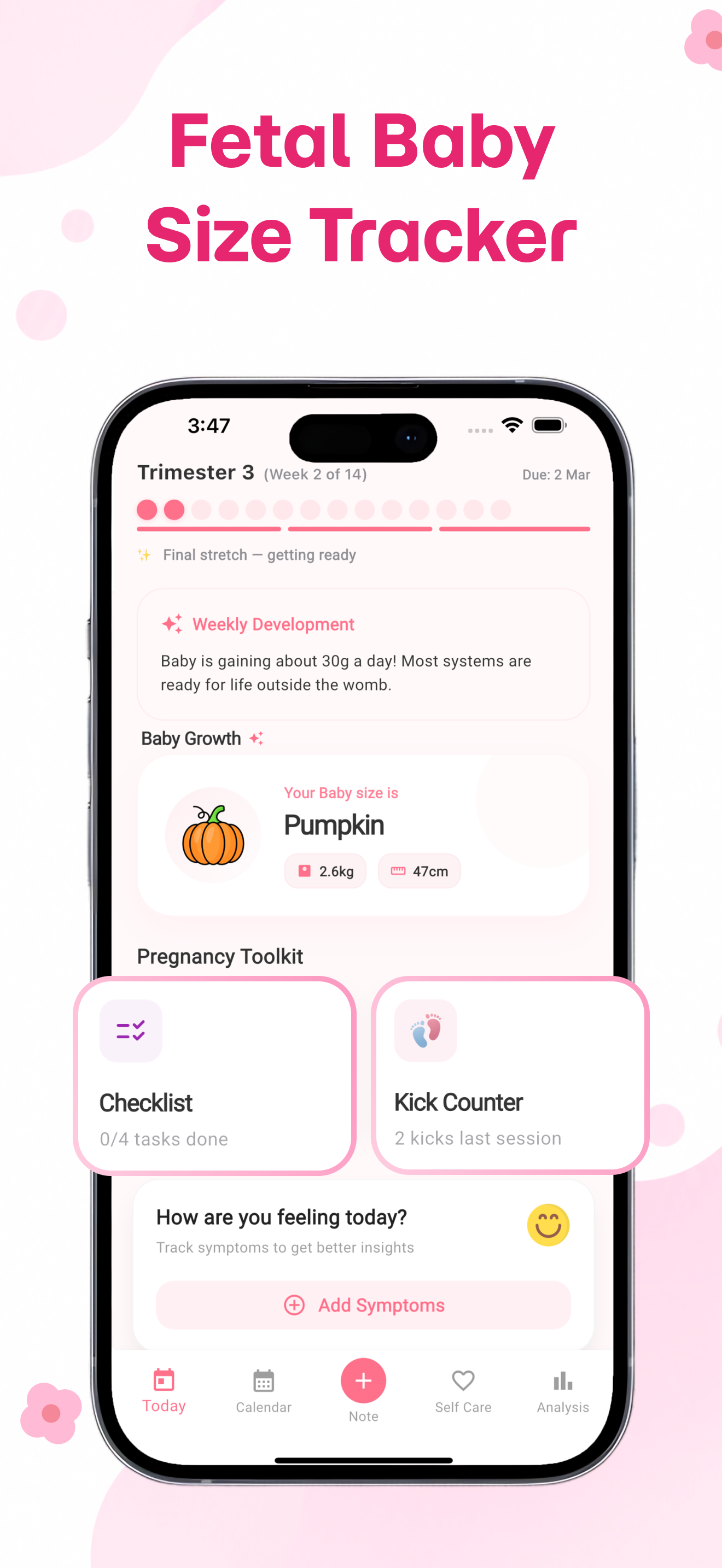 Period Tracker: Cycle & Baby screenshot 4