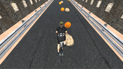 Cyclist Pro Bike Rider Game Screenshot