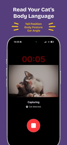 Felingo - Cat Translator screenshot