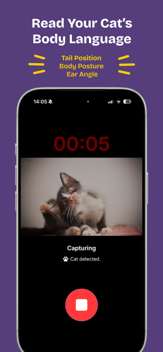 Felingo - Cat Translator Screenshot 4 of 5