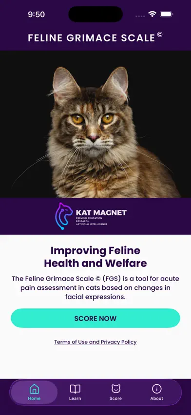 Feline Grimace Scale screenshot 1