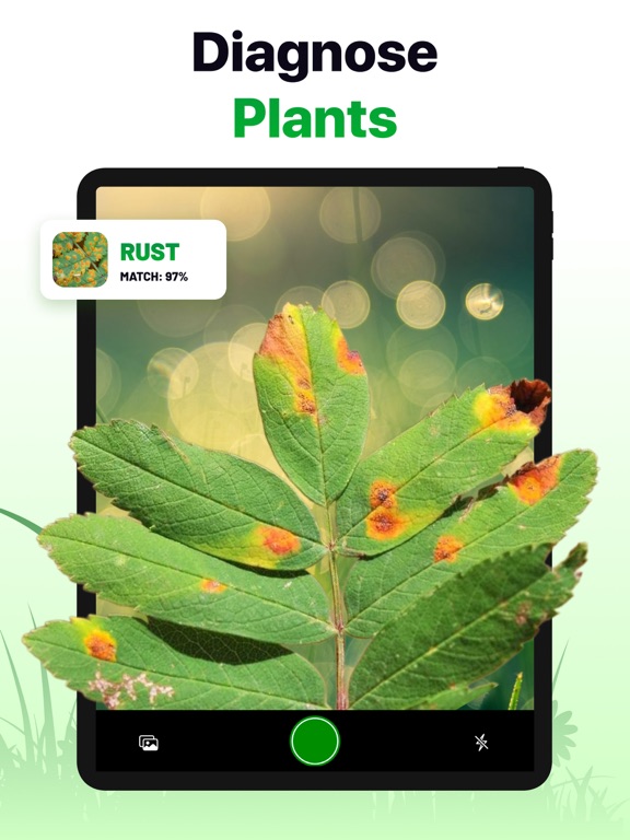 Plant ID: Nature Identifier AIのおすすめ画像4