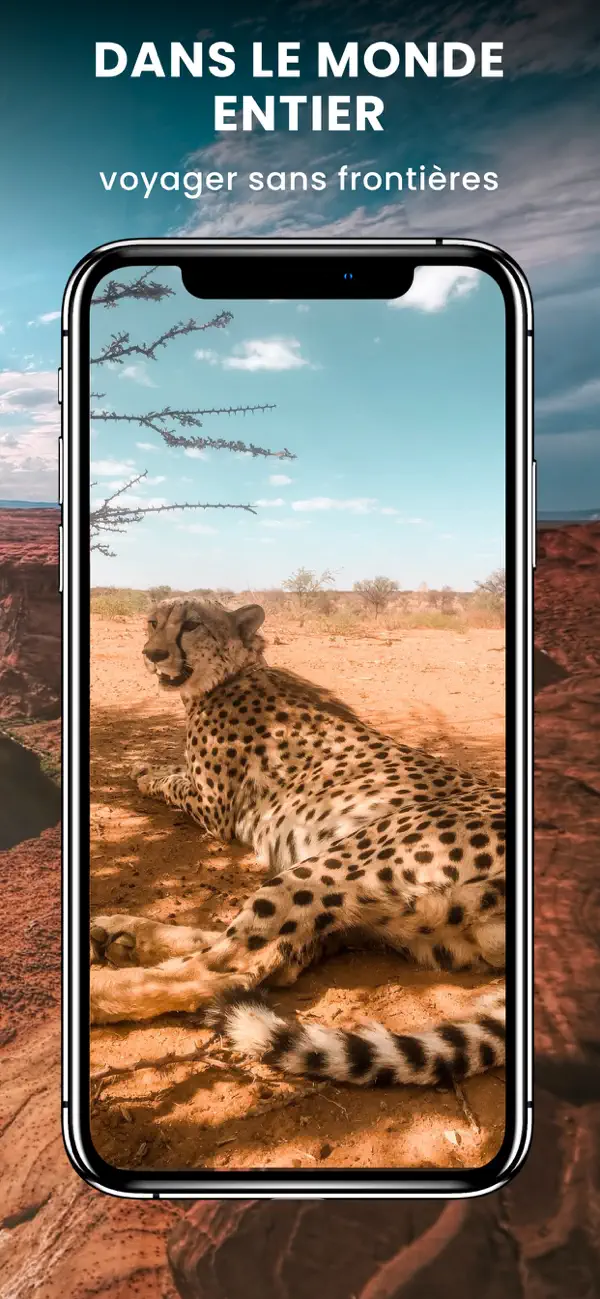 Screenshot #2 pour Voyage En Ligne: Tour Privé