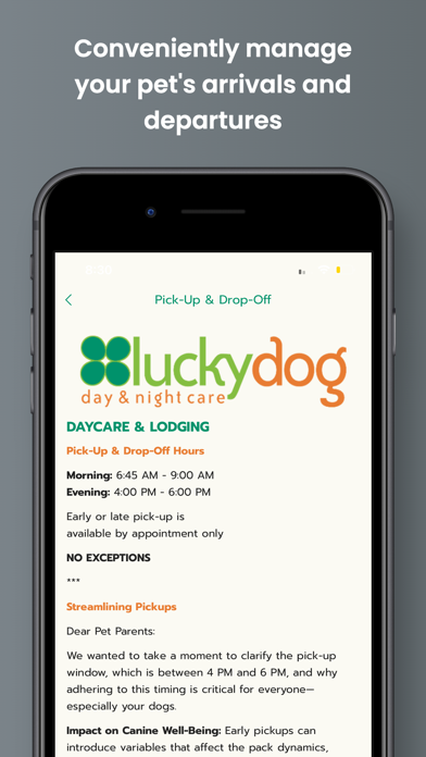 Luckydog Day & Night Care Screenshot
