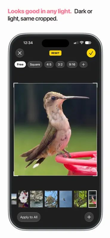 Cropped screenshot 6 of 6