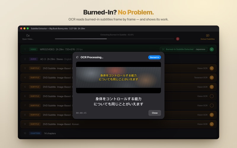 Screenshot #3 pour Subtitle Extractor