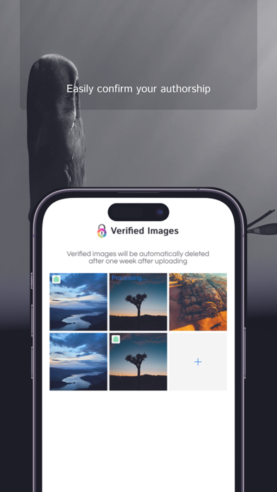 Overlai Screenshot