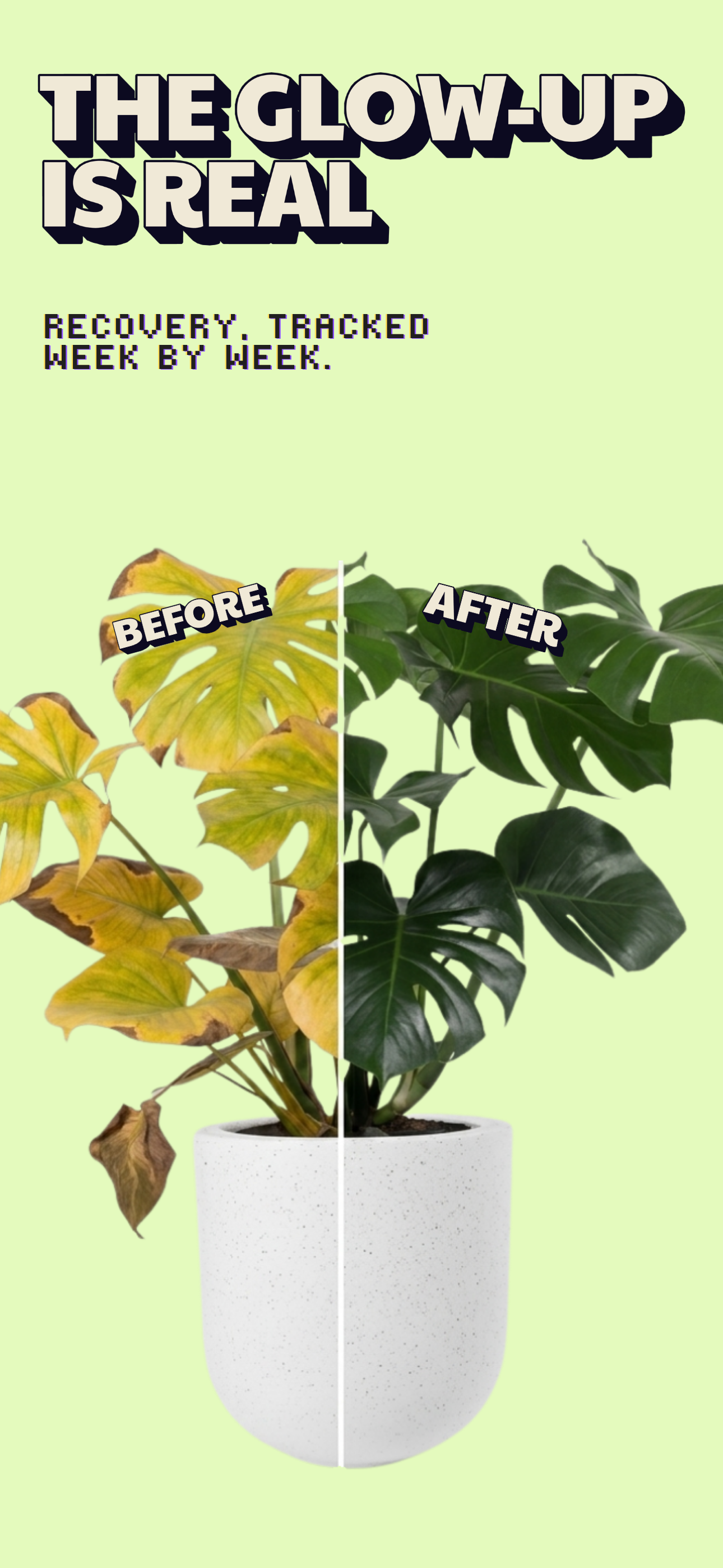 Moss - Plant Care screenshot 6