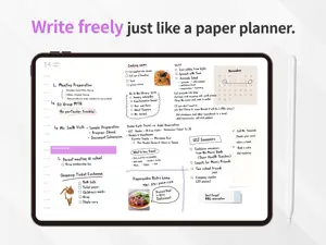 Planner for iPad screenshot 1