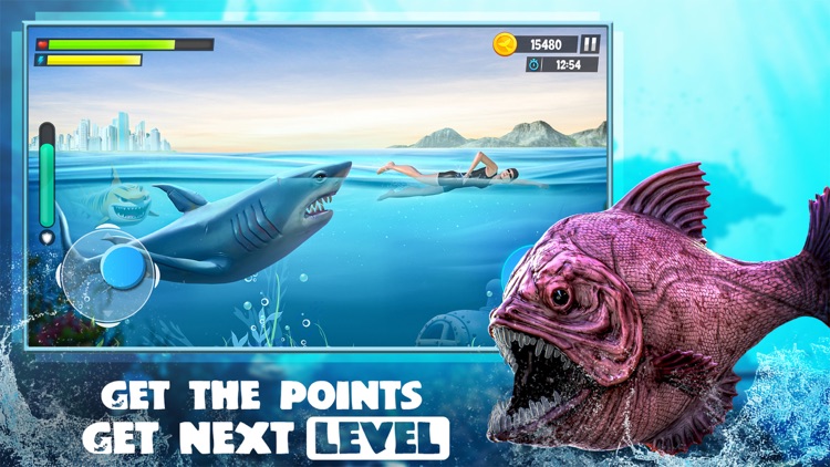 Shark Attack: Hungry Fish Game screenshot-3