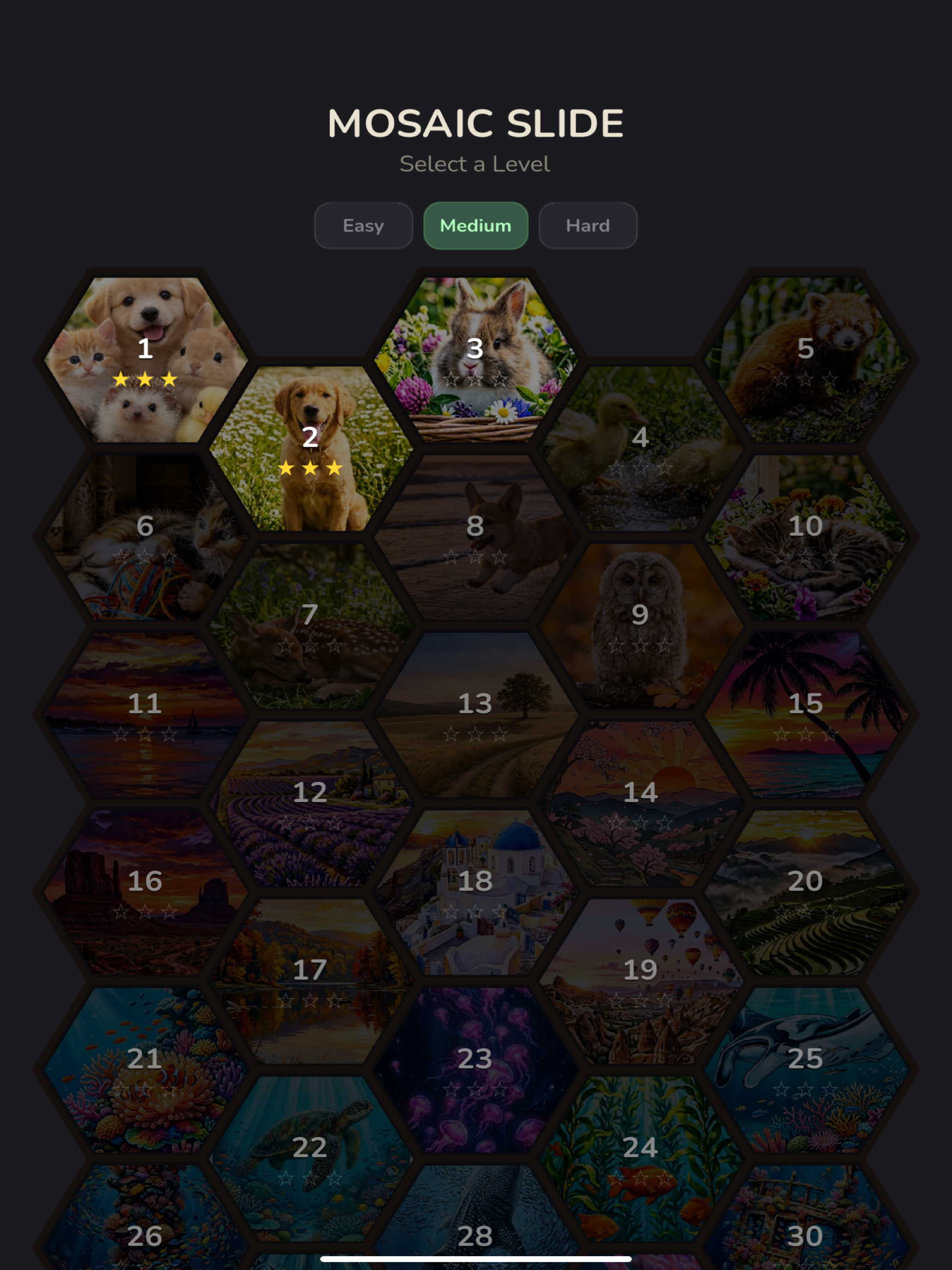 Mosaic Slide screenshot 15