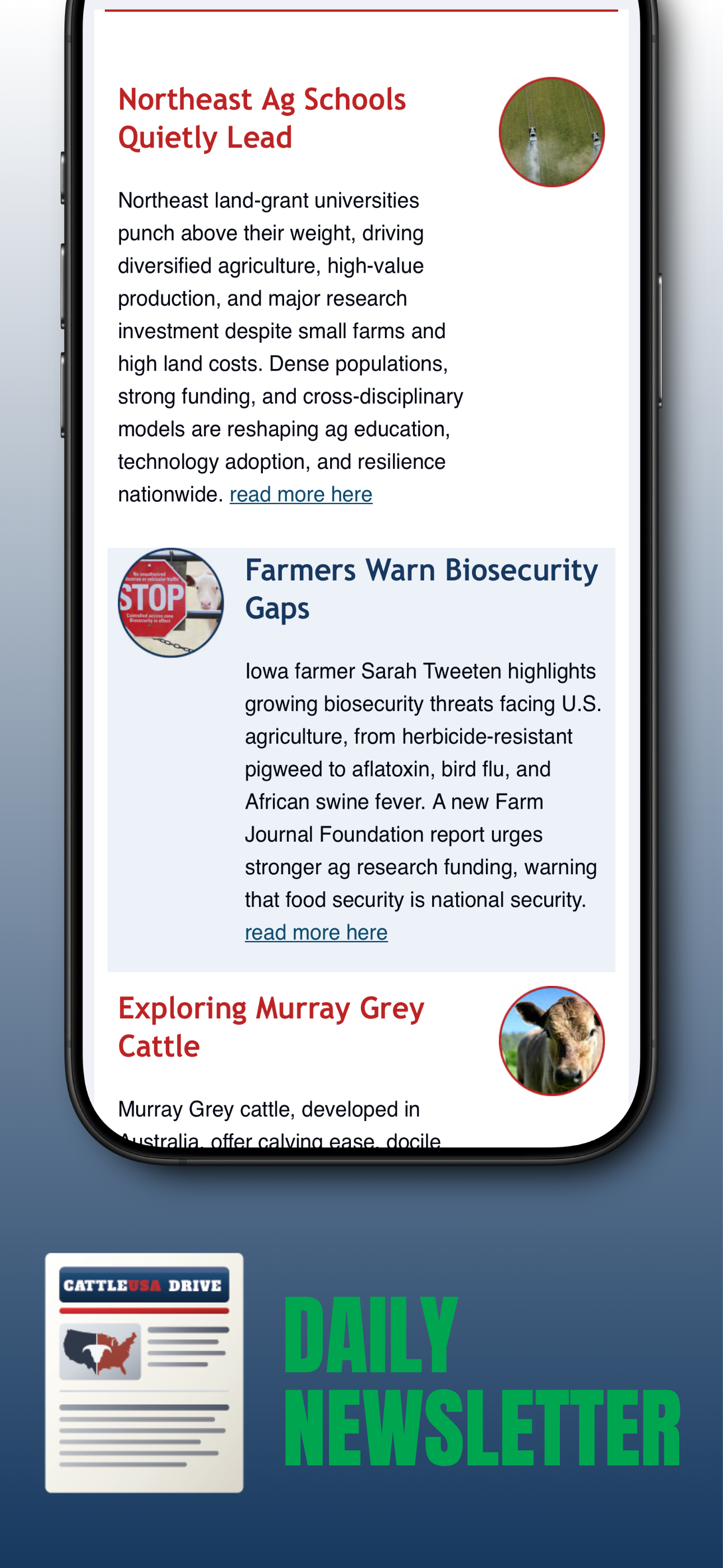 CattleUSA