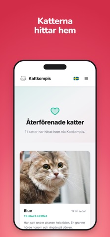Kattkompis iPhone screenshot 3
