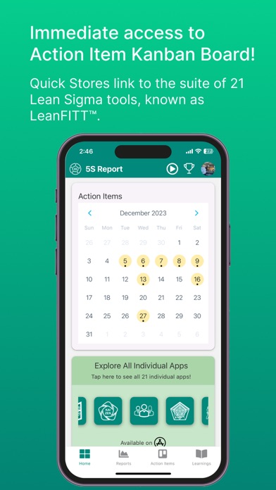 Lean 5S Rpt Screenshot