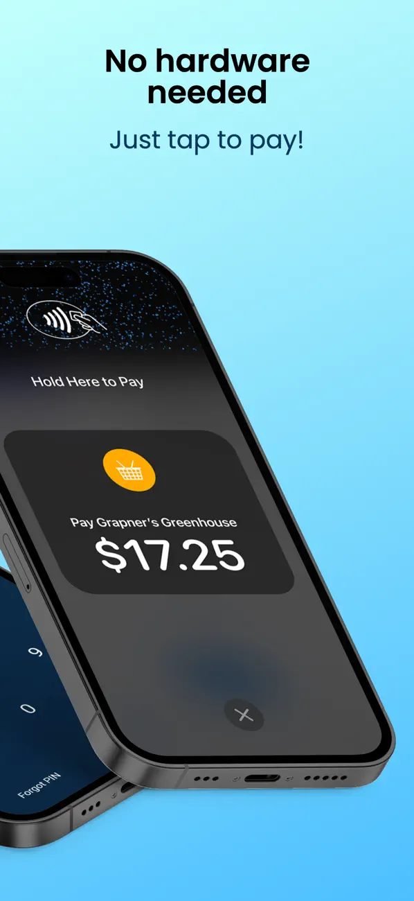 Screenshot #2 pour PayNow for Stripe