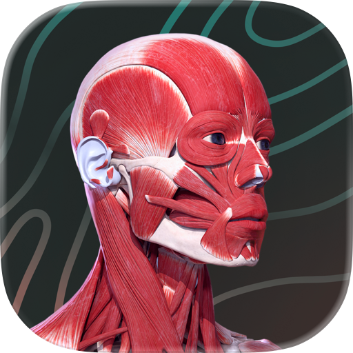 Easy Anatomy 3D with Voice AI