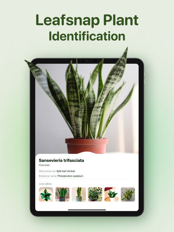 AI Plant Identifier - Plant ID iPad screenshot 4 - Education app