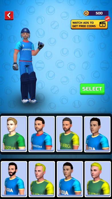 Cricket Match Multiplayer Game Screenshot