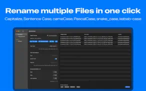 bulk file rename - batchname iphone resimleri 1