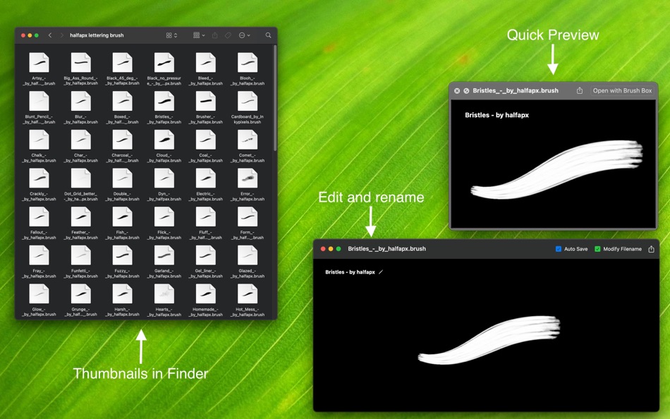 #2. Brush Box (macOS) 由: 菁晶 王
