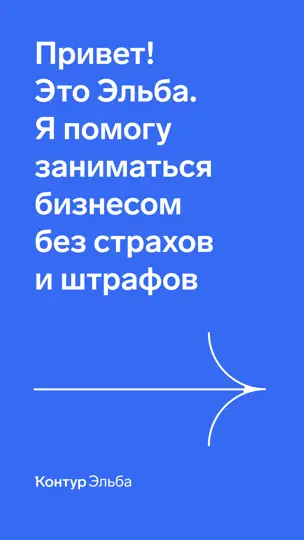 Скриншот Контур.Эльба на iPhone 1