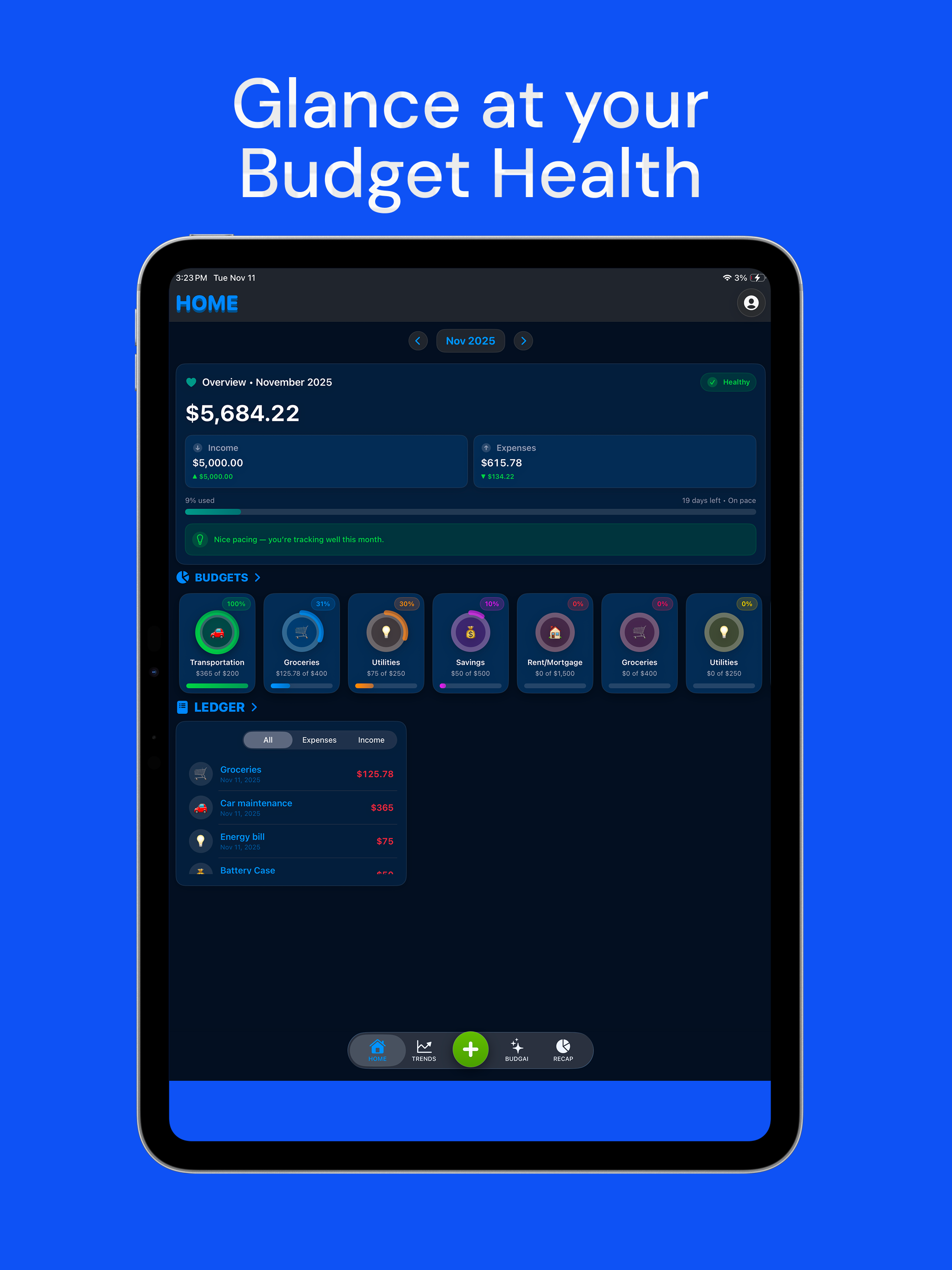 Budgi screenshot 8