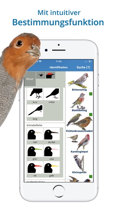 NABU Vogelwelt Screenshot