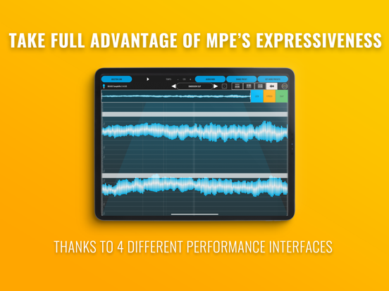 BLEASS SampleWiz 2 iPad screenshot 8 - Music app