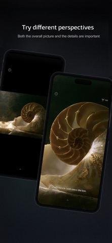 独木成林 Screenshot 4