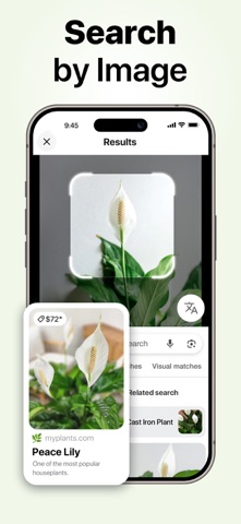 Lens AI: Identifica Foto iPhone screenshot 2