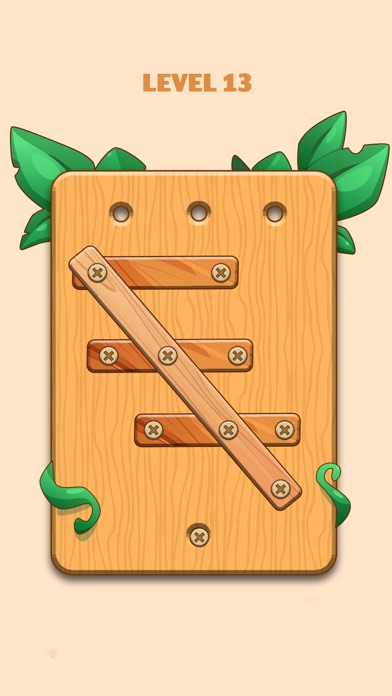 Unscrew Wood Nuts & Bolts Game Screenshot