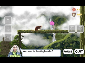 Cloud Forest Climb iPad screenshot