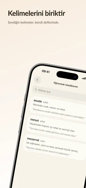 Lügat: Kelime Ritüeli screenshot 3