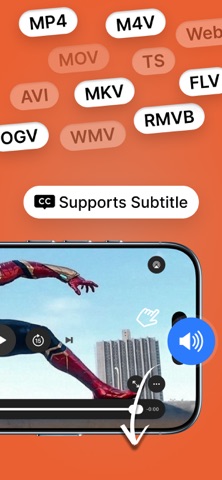 VidHub screenshot
