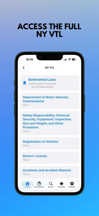 NY VTL screenshot 3
