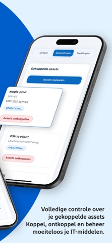 Top audit screenshot