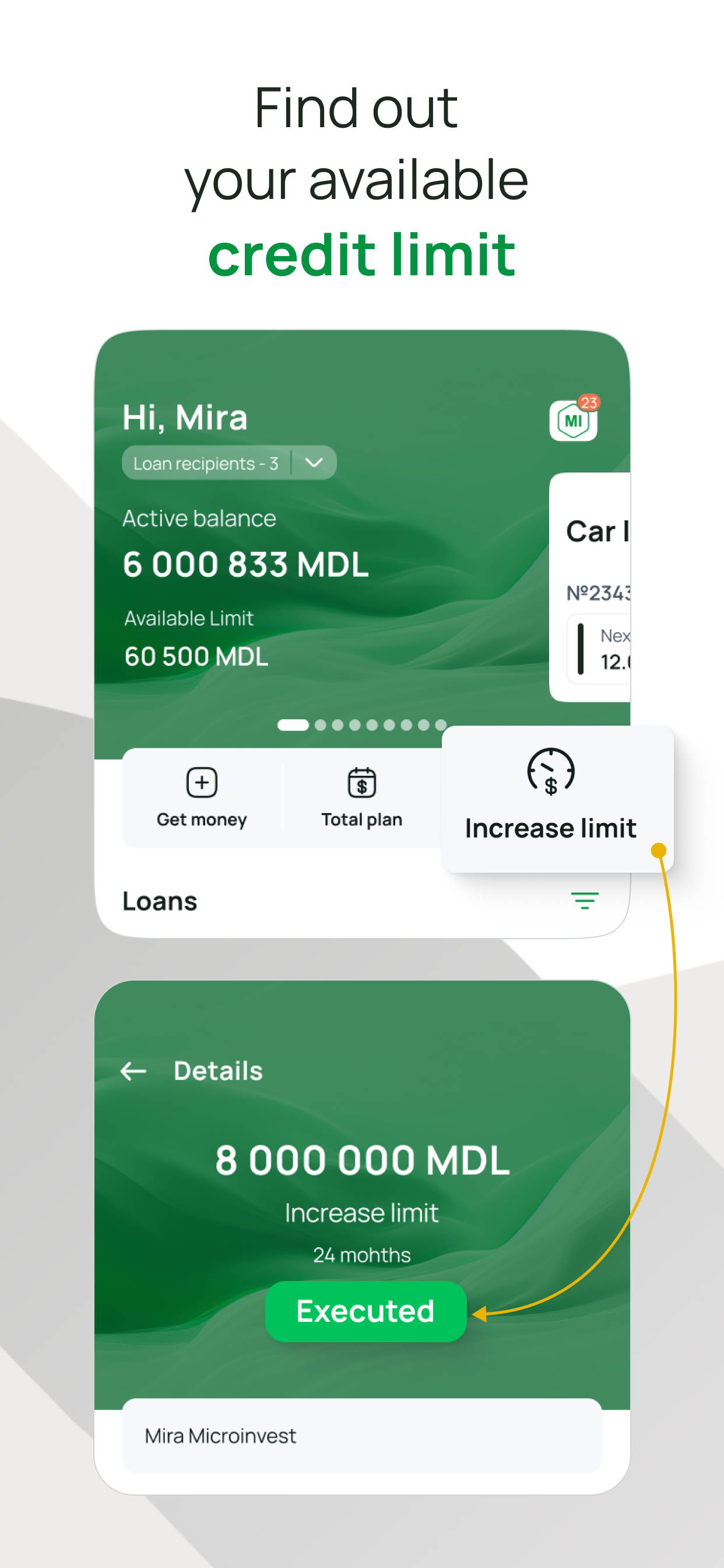 Microinvest