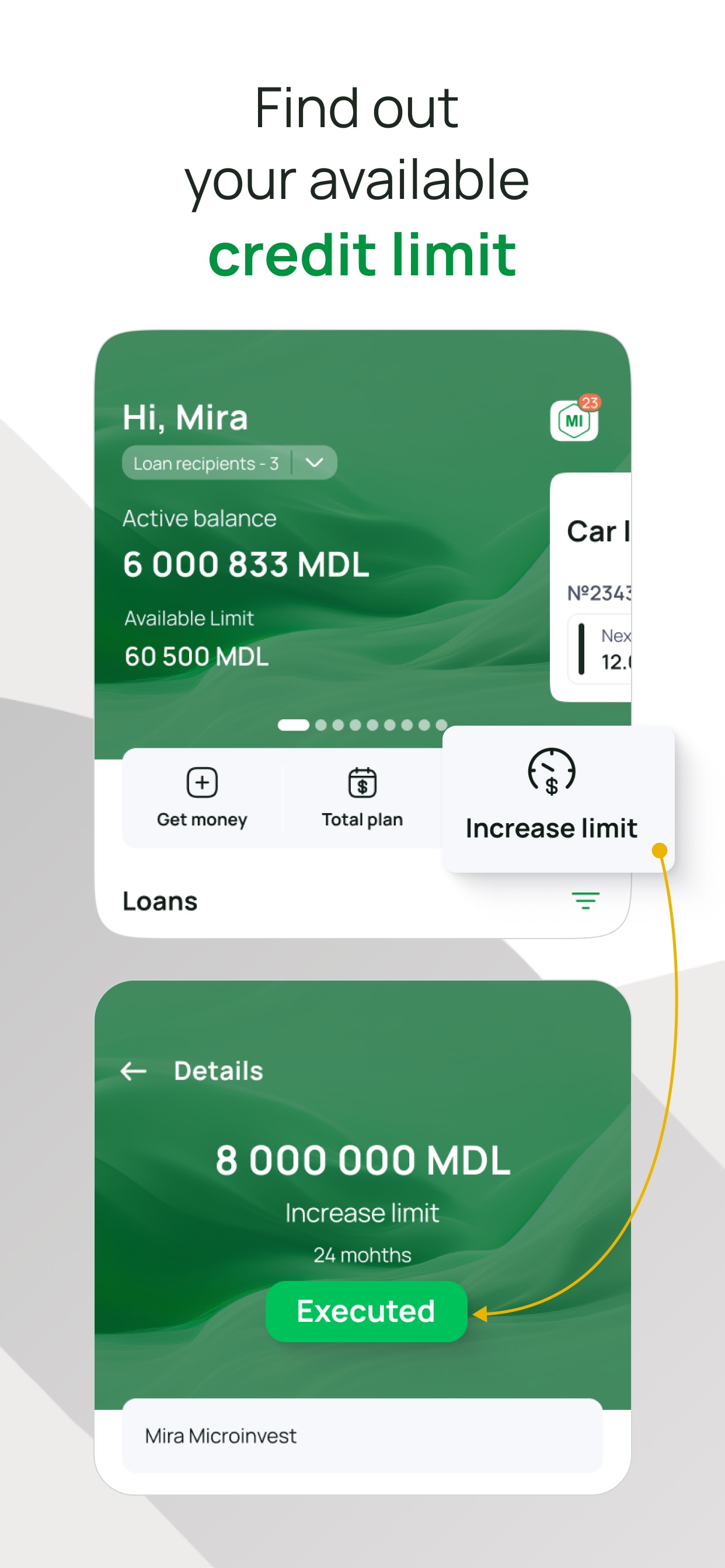 Screenshot 5 of Microinvest