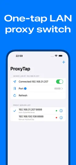 Скриншот ProxyTap на iPhone 1