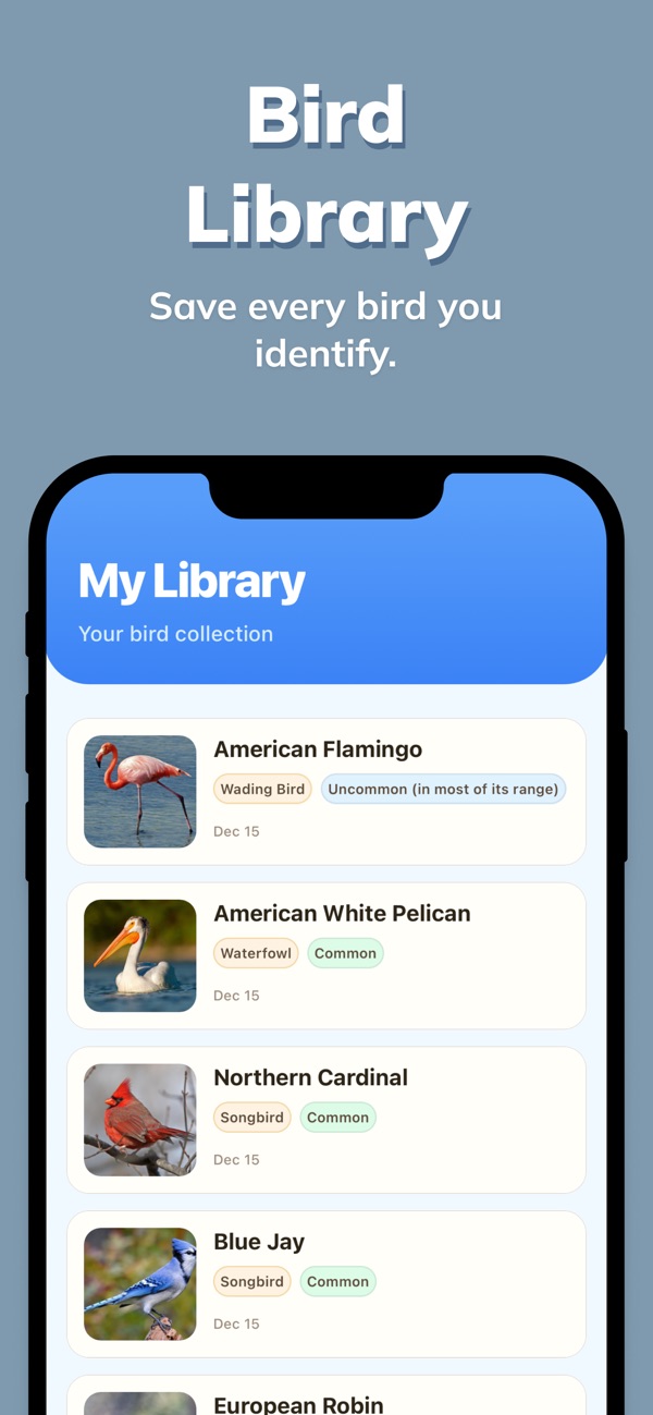 Birdy | Bird Identifier screenshot 4