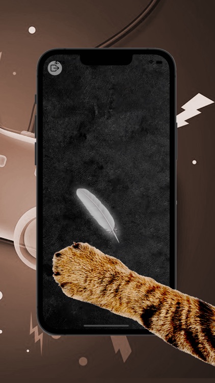 Games For Cat - Cat Games screenshot-8