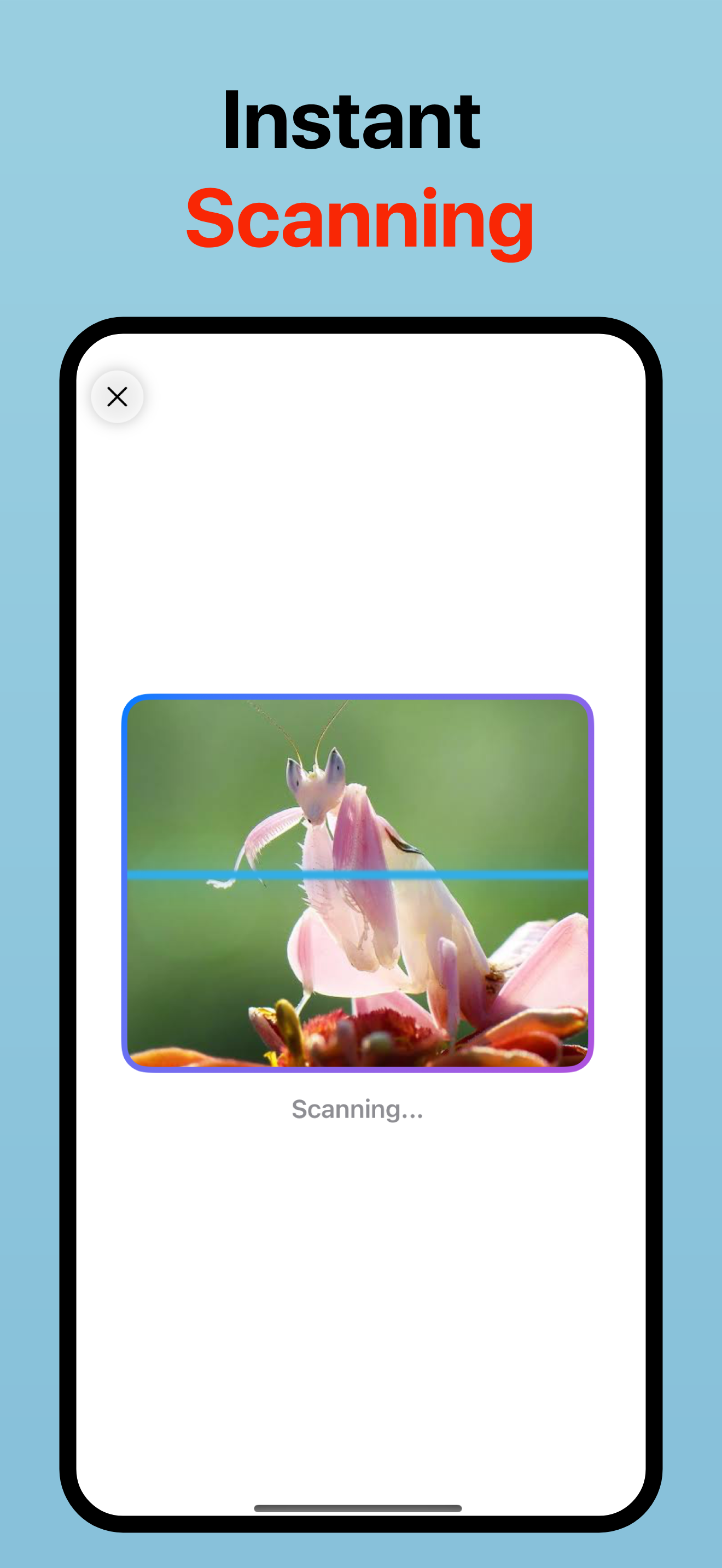 Insect ID: Bugs Identifier AI screenshot 4