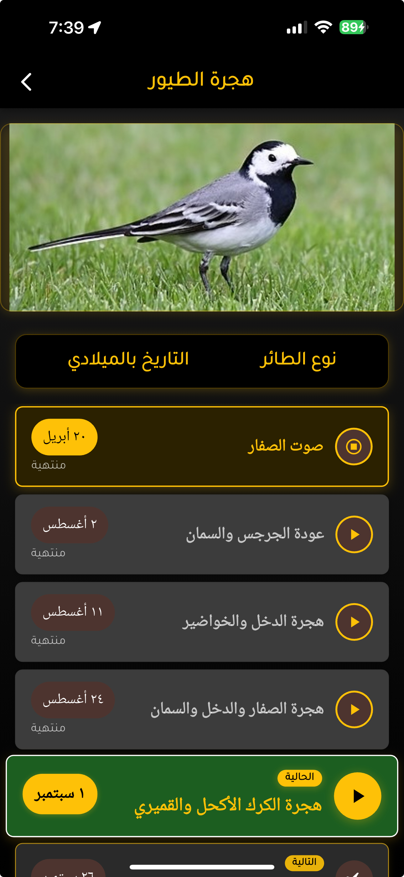 الخلاوي