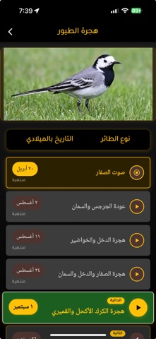 الخلاوي screenshot